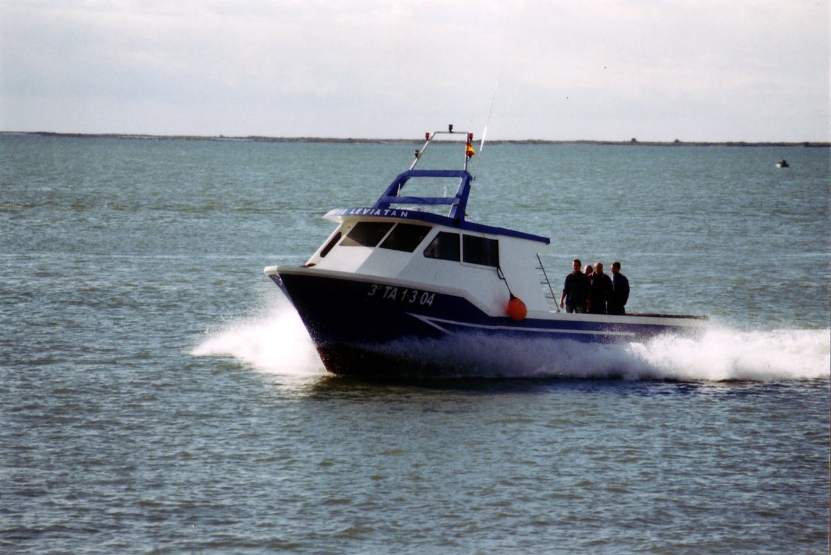 Imagen de Capitol 8 - 2004